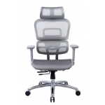 Zenox Ten-E 天依辦公椅 (灰色) (ZE-OC4188-GRY)